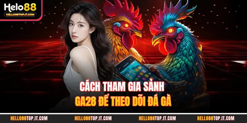 Cách tham gia sảnh GA28 để theo dõi đá gà