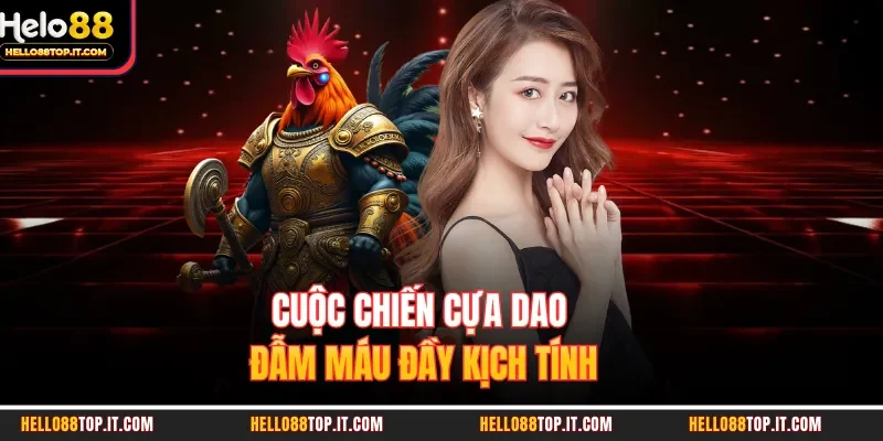 Cuộc chiến cựa dao đẫm máu đầy kịch tính