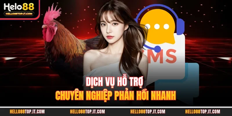 Dịch vụ hỗ trợ chuyên nghiệp phản hồi nhanh