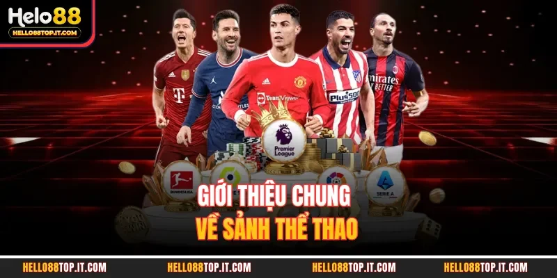Giới thiệu chung về sảnh thể thao 