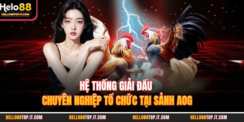 Hệ thống giải đấu chuyên nghiệp tổ chức tại sảnh AOG