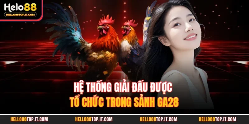 Hệ thống giải đấu được tổ chức trong sảnh GA28