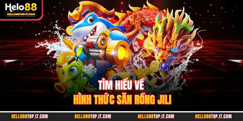 Tìm hiểu về hình thức săn rồng Jili