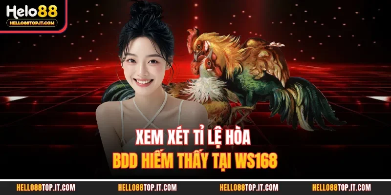 Xem xét tỉ lệ hòa BDD hiếm thấy tại WS168